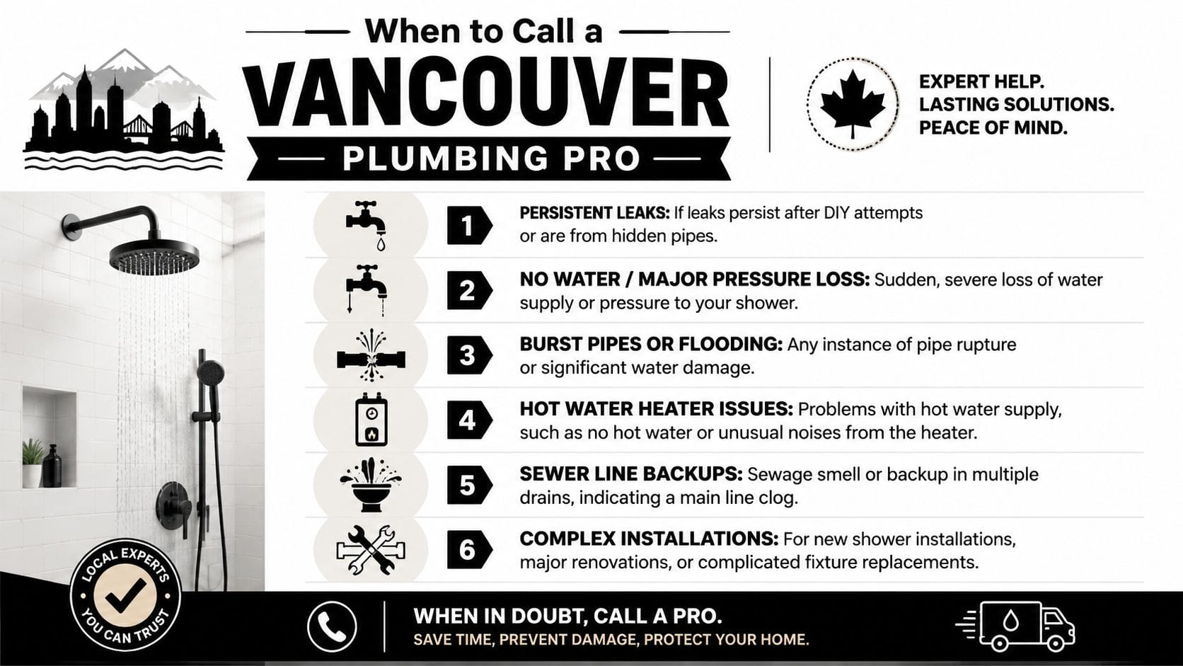 A helpful infographic listing six common plumbing problems that require professional Vancouver plumbing repair services.
